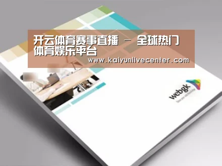 项目名称九