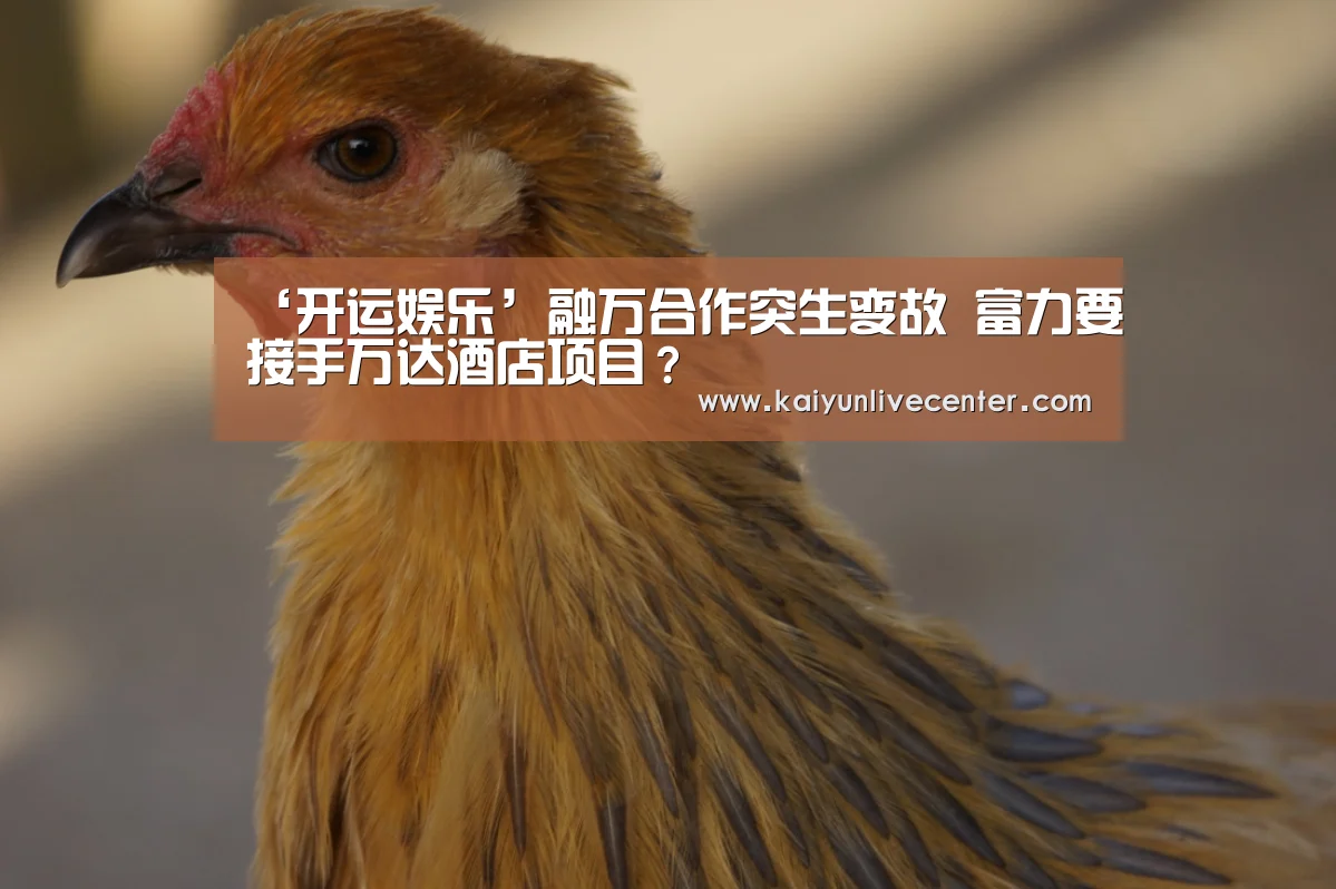开运登录