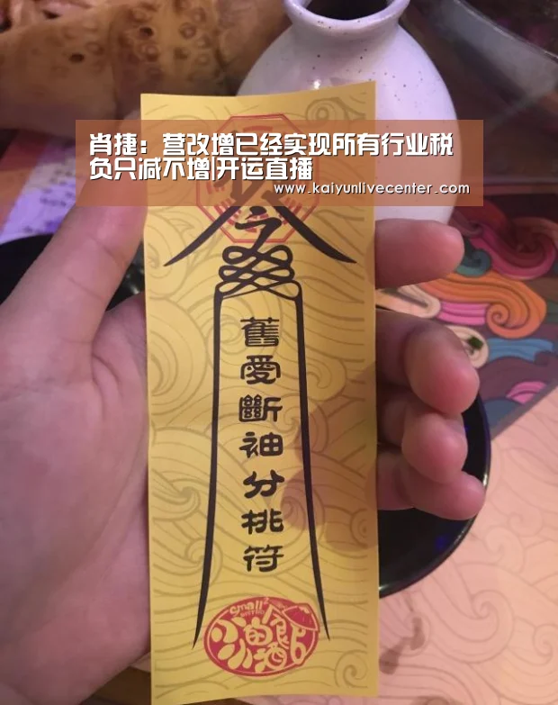 肖捷:营改增已经实现所有行业税负只减不增|开运直播(图1) 开运直播
