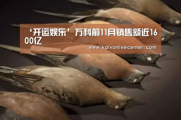 ‘开运娱乐’万科前11月销售额近1600亿(图2) 开运平台