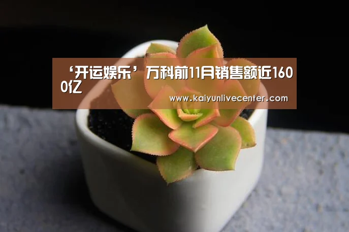 ‘开运娱乐’万科前11月销售额近1600亿(图4) 开运娱乐